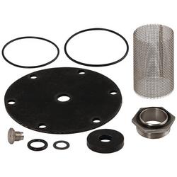 1-1/2 in. Valve Repair Kit