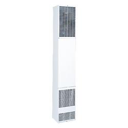 40K BTU - Direct Vent - Natural Gas Wall Heater