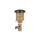 Zurn Wilkins Cast Bronze FNPT Cast Bronze 300 psi BFP Vacuum Breaker 