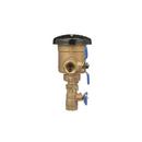 Zurn Wilkins Cast Bronze FNPT Cast Bronze 300 psi BFP Vacuum Breaker 