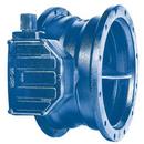 10 in. Ductile Iron Butterfly Valve