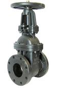 Milwaukee Valve Cast Iron Flanged Gate Valve 