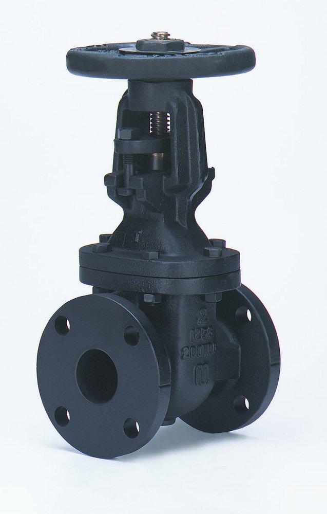 Milwaukee Valve Cast Iron Flanged Gate Valve 