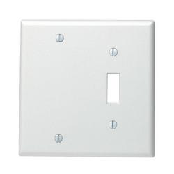 2-Gang Wall Plate in White