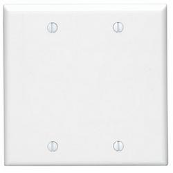 2-Gang Blank Plate in White