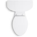 Complete Solution 1.28 gpf Elongated Comfort Height&reg;Two Piece Toilet in White 