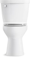 Complete Solution 1.28 gpf Two Piece Elongated Toilet in White 