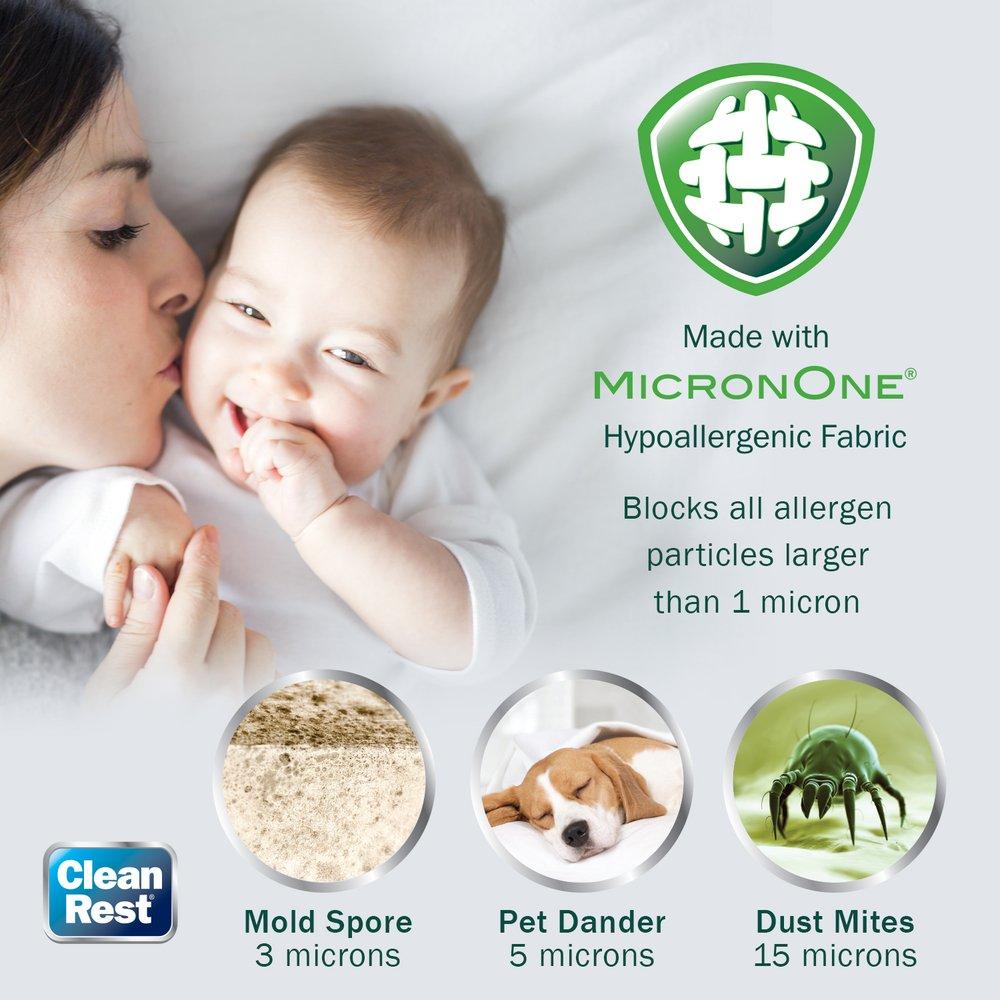 Twin XL Mattress Encasement (Case of 4) 