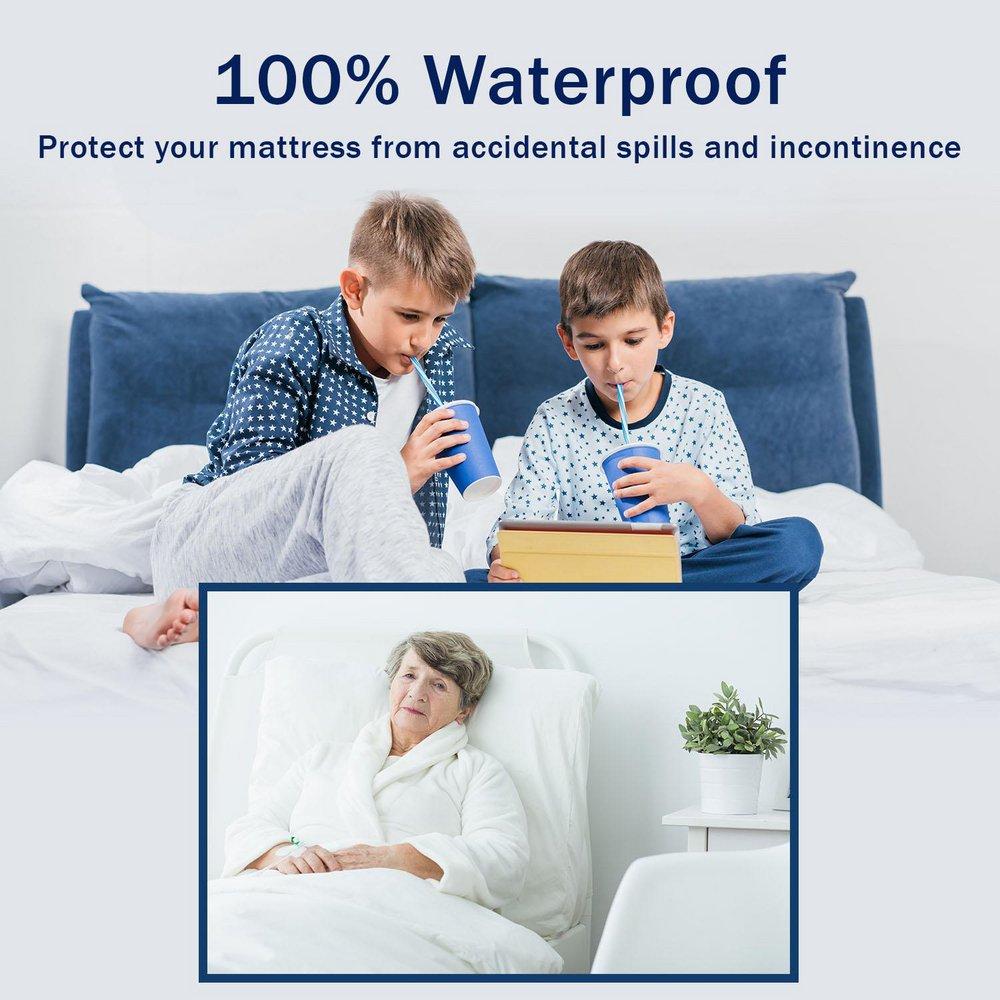 Queen Mattress Encasement (Case of 3) 