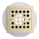 TI COMPLETE SHWR DRN PB 