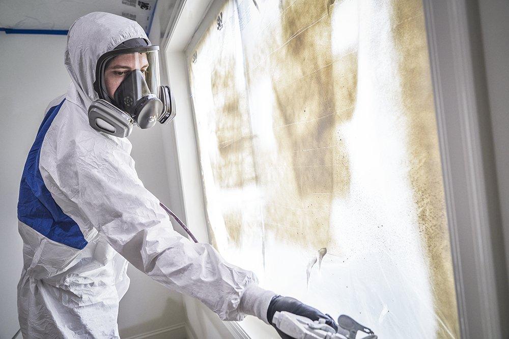 3M 69P71P1-DC OV/P95 LARGE FULL FACE PAINT PROJECT RESPIRATOR 