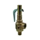 1X1-1/4 MXF NPT BRZ REL VLV 100PSI 