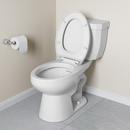 Elongated Toilet Bowl in White 