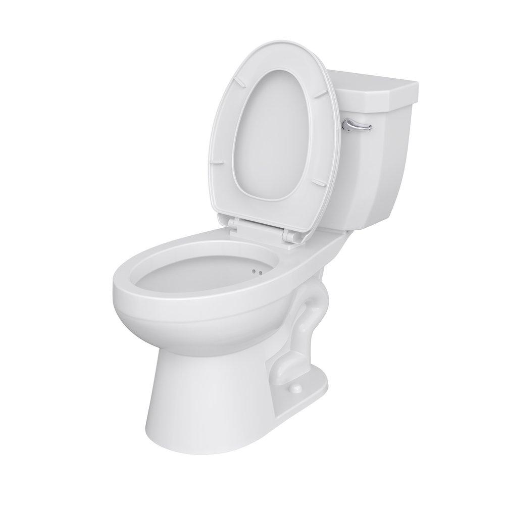 Elongated Overflow Protection Toilet Bowl in White 