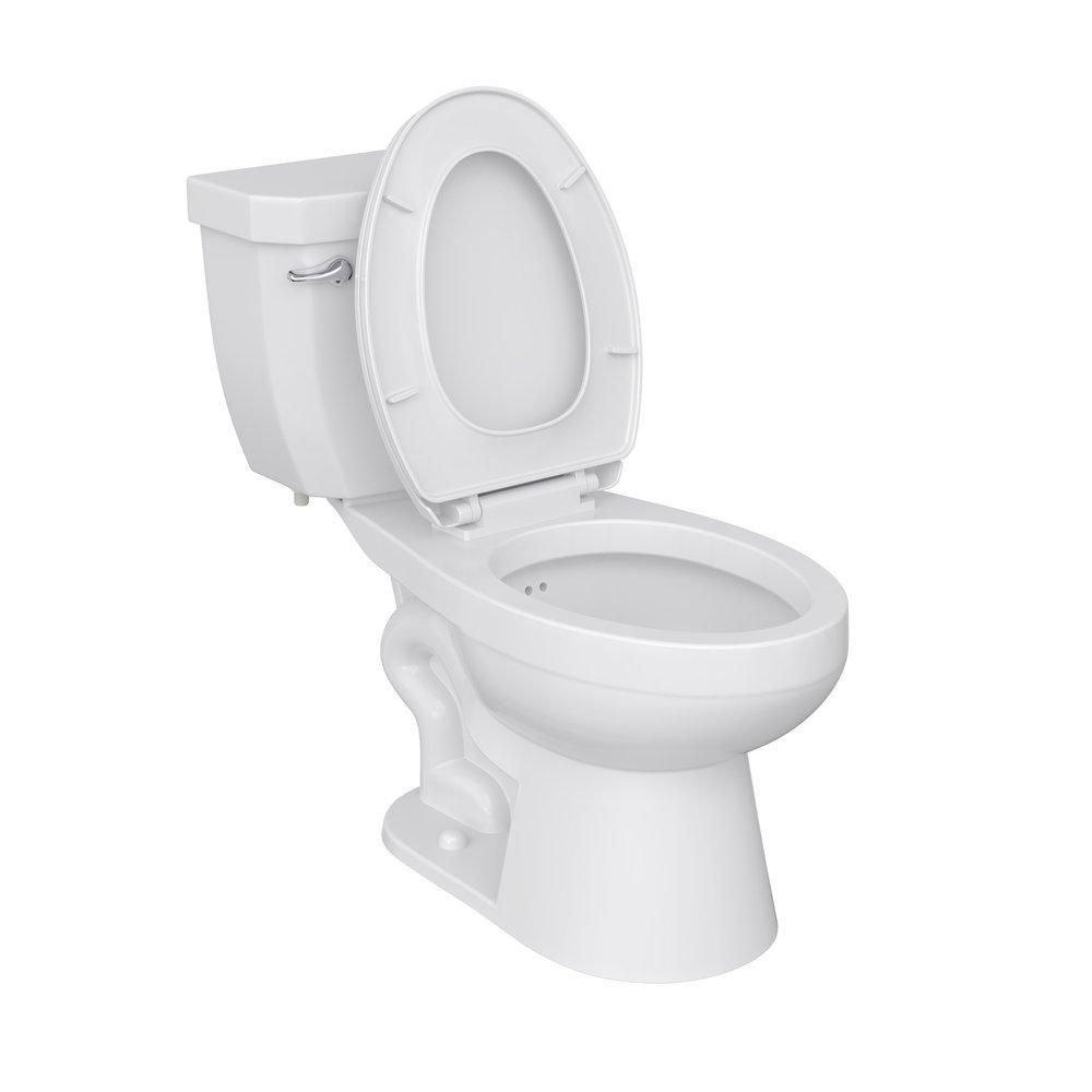 Comfort Height Elongated Toilet Bowl in White with Flush Guard 