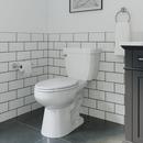 Comfort Height Elongated Toilet Bowl in White with Flush Guard 