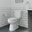 17 in. Elongated ADA Overflow Protection Toilet Bowl in White 