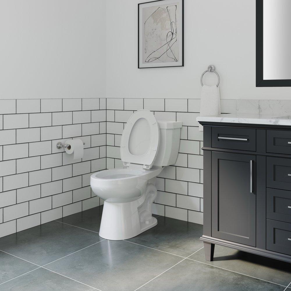 17 in. Elongated ADA Overflow Protection Toilet Bowl in White image number 16