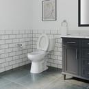 17 in. Elongated ADA Overflow Protection Toilet Bowl in White image number 16