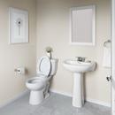 Comfort Height Elongated Toilet Bowl in White with Flush Guard 