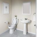 17 in. Elongated ADA Overflow Protection Toilet Bowl in White 