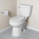 17 in. Elongated ADA Overflow Protection Toilet Bowl in White 