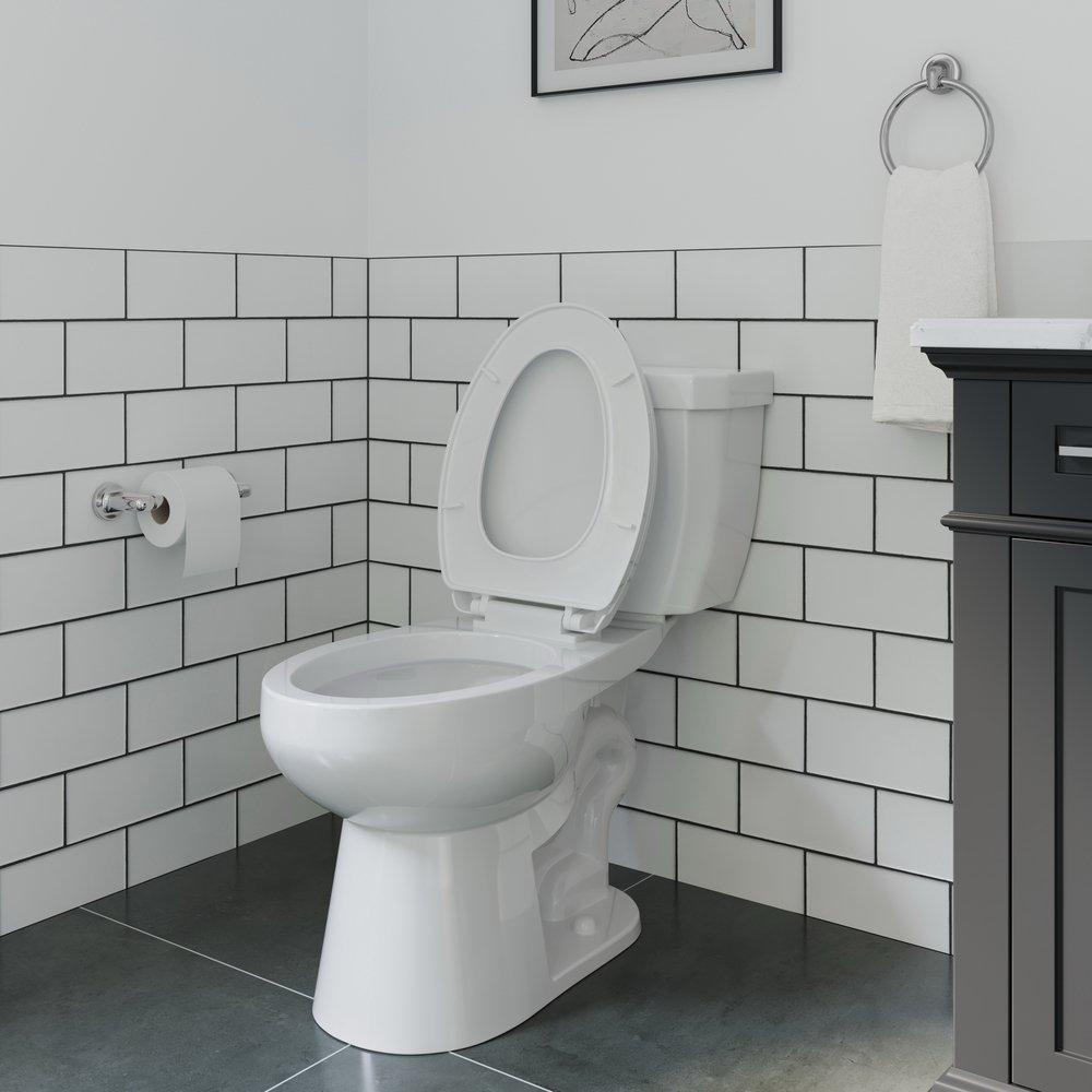 17 in. Elongated ADA Overflow Protection Toilet Bowl in White image number 12