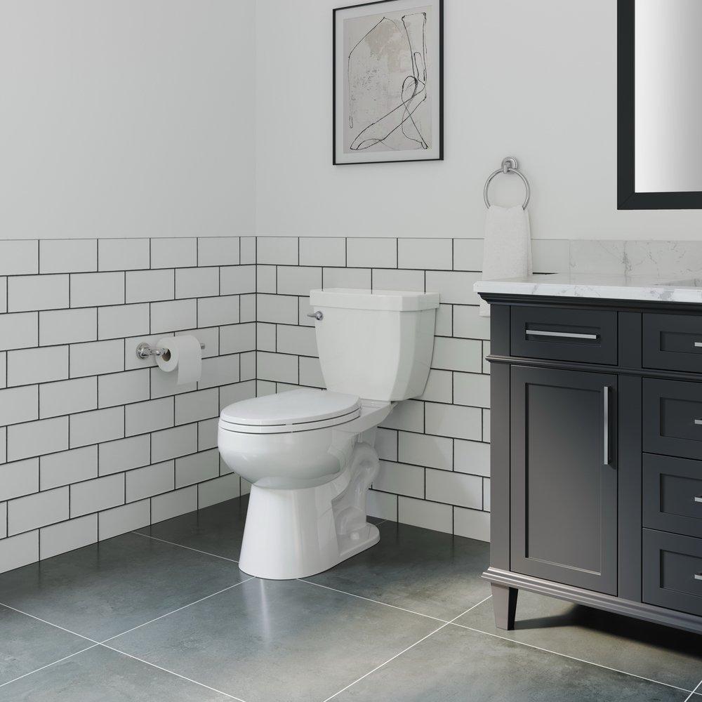 17 in. Elongated ADA Overflow Protection Toilet Bowl in White 