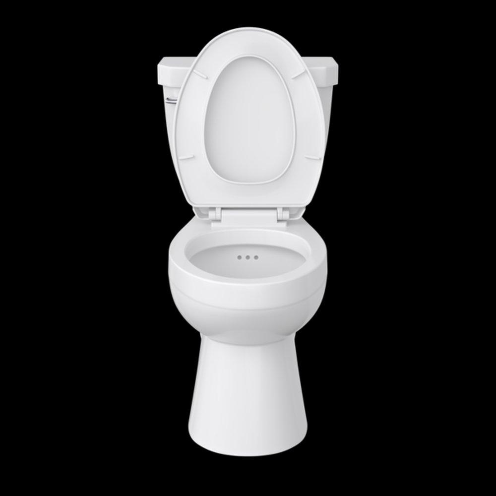 17 in. Elongated ADA Toilet Bowl in White 