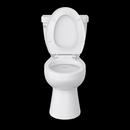 17 in. Elongated ADA Toilet Bowl in White 
