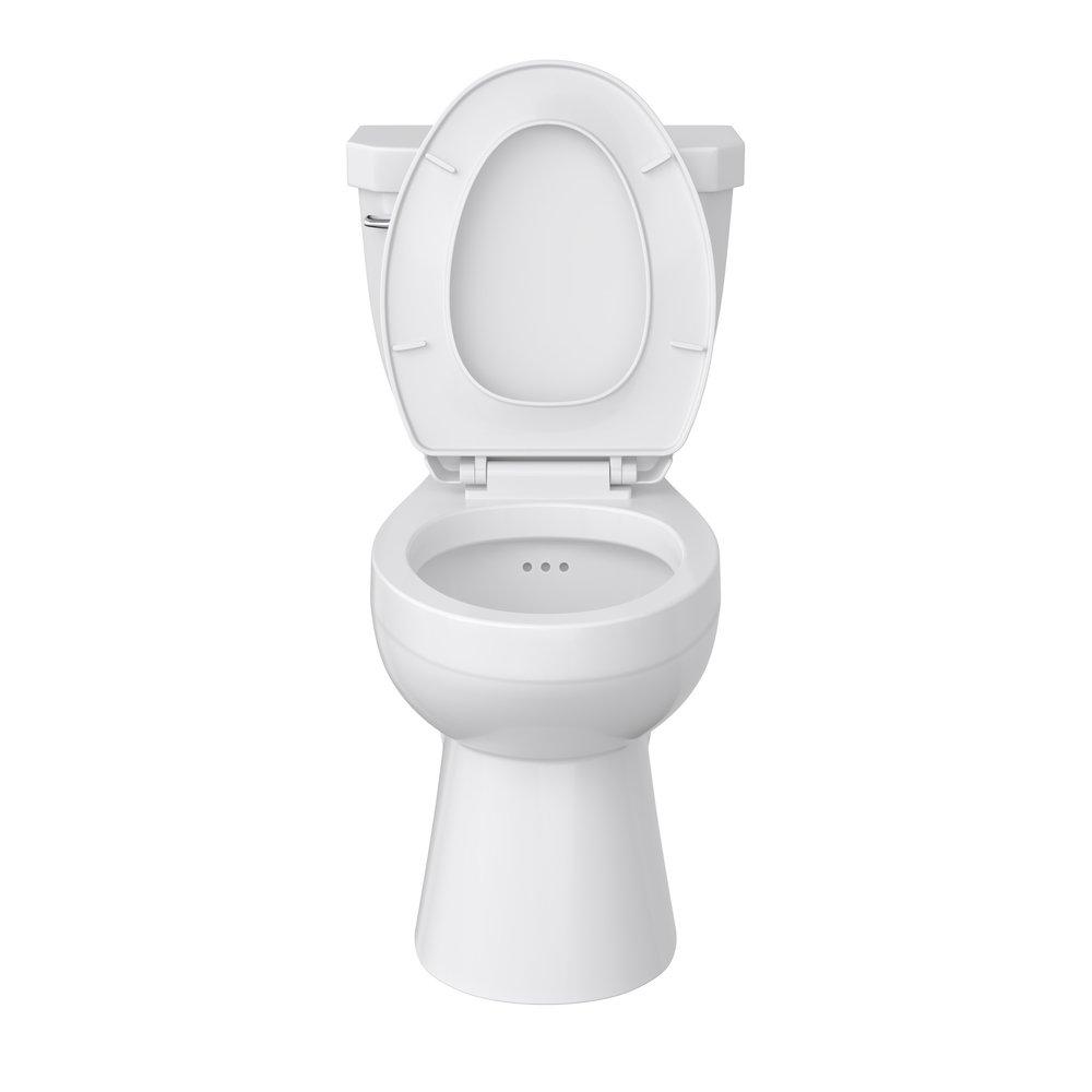 Comfort Height Elongated Toilet Bowl in White with Flush Guard 
