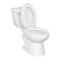 17 in. Elongated ADA Overflow Protection Toilet Bowl in White 