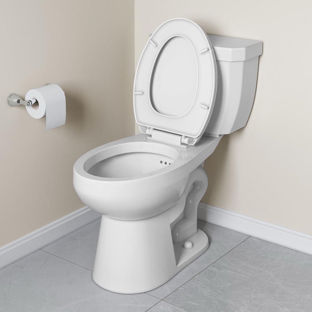Comfort Height Elongated Toilet Bowl in White with Flush Guard 
