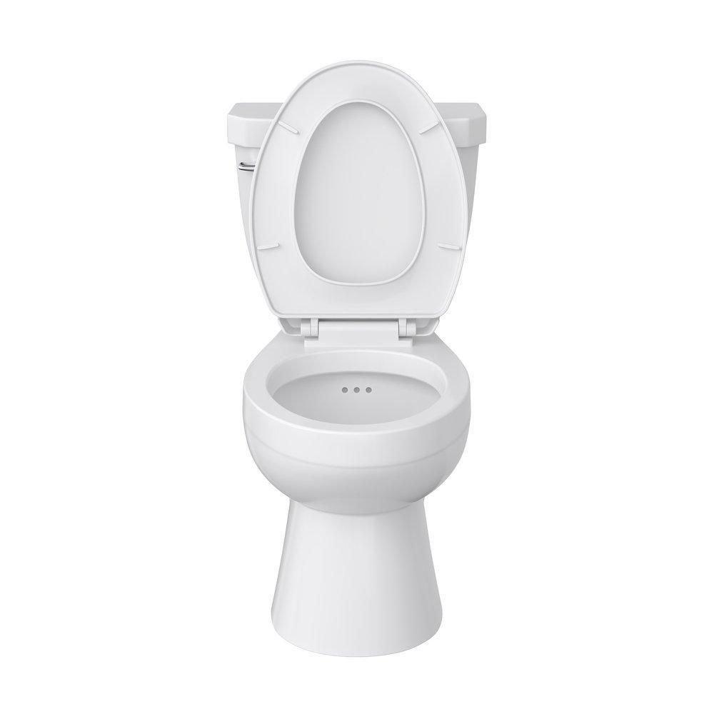 Comfort Height Elongated Toilet Bowl in White with Flush Guard 