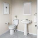Comfort Height Elongated Toilet Bowl in White with Flush Guard 