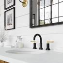 Two Handle Widespread Bathroom Sink Faucet in Matte Black with Brushed Gold 