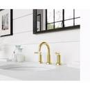 LAV CSO 49 8IN 2HDL BG 