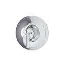 BIRCH SHOWER VALVE TRIM TC 