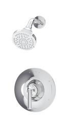 BIRCH HM SHOWER TRIM 