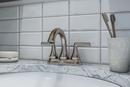 BIRCH CENTERSET FAUCET 