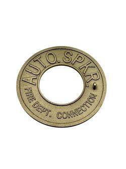 2-1/2 in. IPS Brass Automatic Sprinkler Fire Department Connection Sign