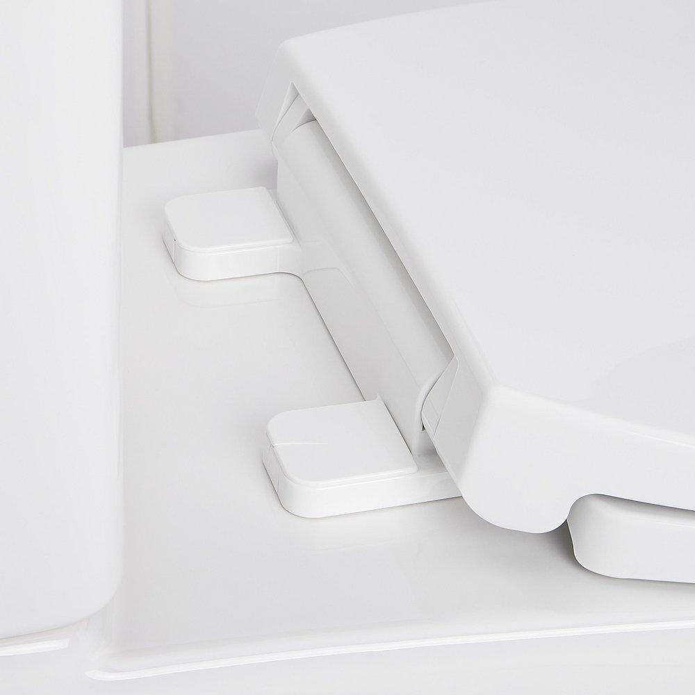 MILLSPRING LOW-FLOW TWO-PIECE ELONGATED TOILET - WHITE - MATTE BLACK HANDLE 