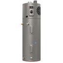 RUUD PROFESSIONAL ULTRA 40 GAL HYBRID ELECTRIC HEAT PUMP WATER HEATER WITH LEAKGUARD 
