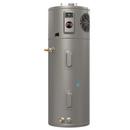 RUUD PROFESSIONAL ULTRA 65 GAL HYBRID ELECTRIC HEAT PUMP WATER HEATER 30A 