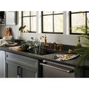 TRAD DM SOAP DISPN BRGO 