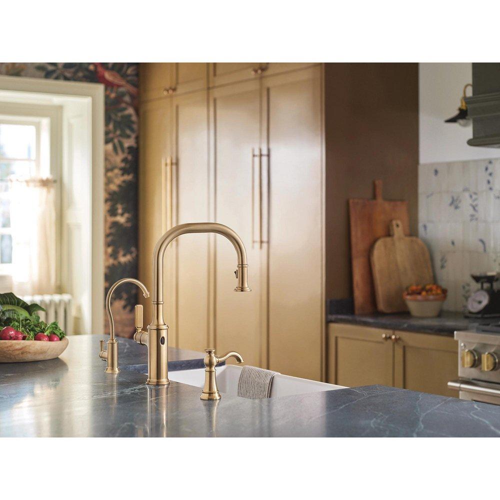 TRAD DM SOAP DISPN BRGO 