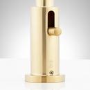 VASSOR 4-HOLE ROMAN TUB FAUCET AND HAND SHOWER WITH ROUGH-IN VALVE - BRUSHED GOLD 