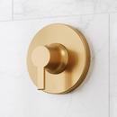 Thermostatic Shower Valve Trim with Lever Handle in Brushed Gold with 1/2 in. Rough-In Valve