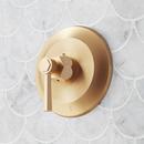 Thermostatic Shower Valve Trim with Lever Handle in Brushed Gold