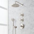 Shower System with Hand Shower and Cross Handles in Brushed Nickel